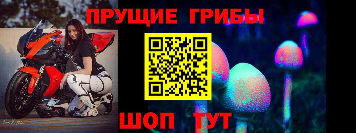 Осинники  Галлюциногенные грибы мухоморы  Вход с VPN 