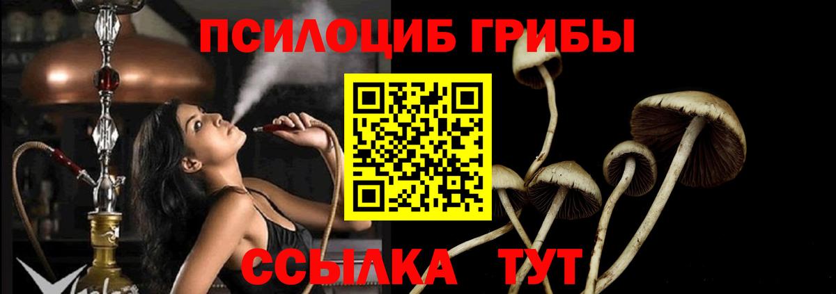 Псилоцибиновые грибы мицелий Осинники