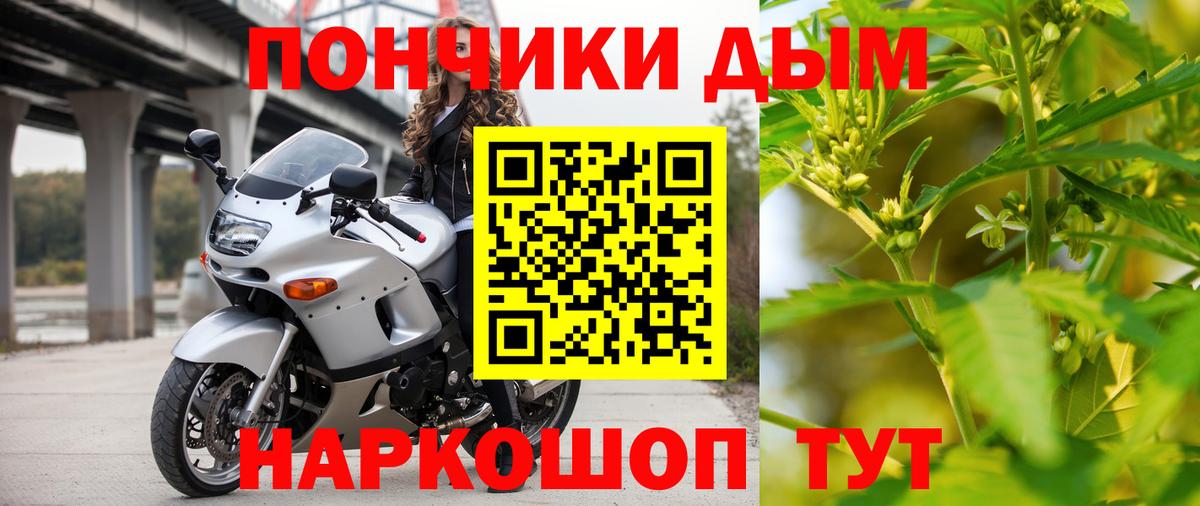 Конопля конопля Осинники